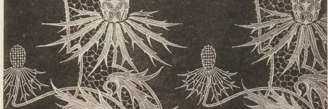 Florentin🏞️🇪🇺 banner