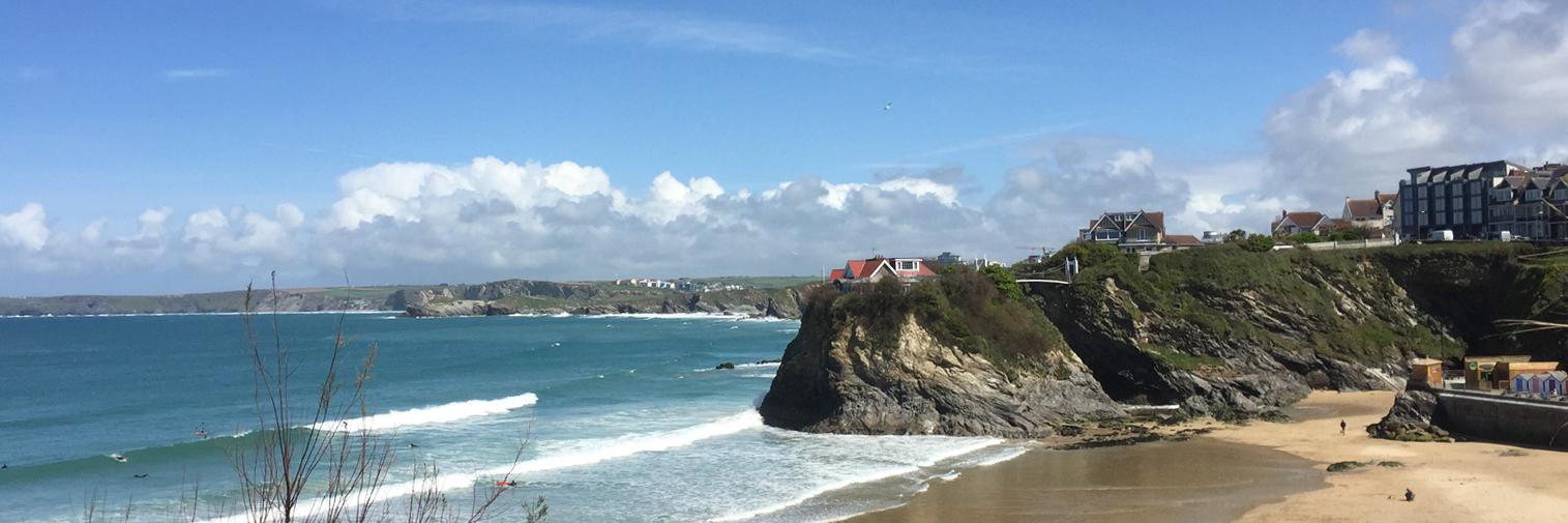 Buzz Interactive banner