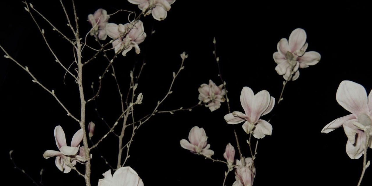 ? banner