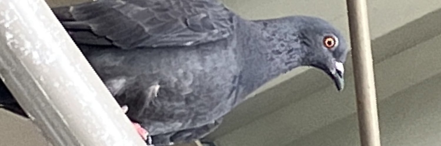 ゐち banner