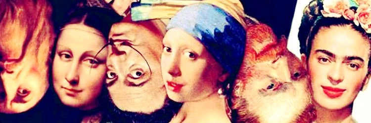 Antonella Patteri banner