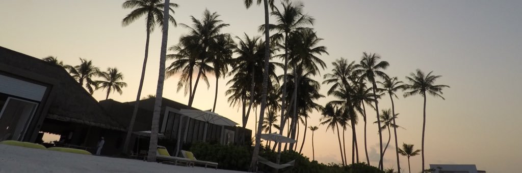SuranikaSoni's profile banner image