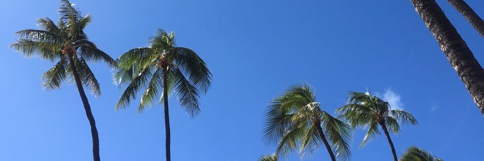 MahaloSPBV's profile banner image