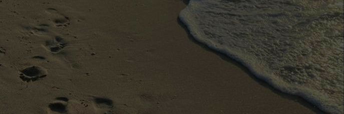 lorwor rest banner