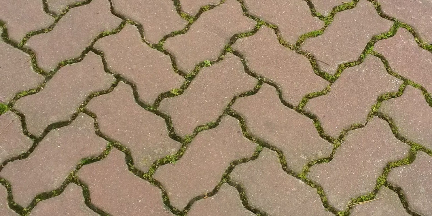 Ana Cavero Palacio banner