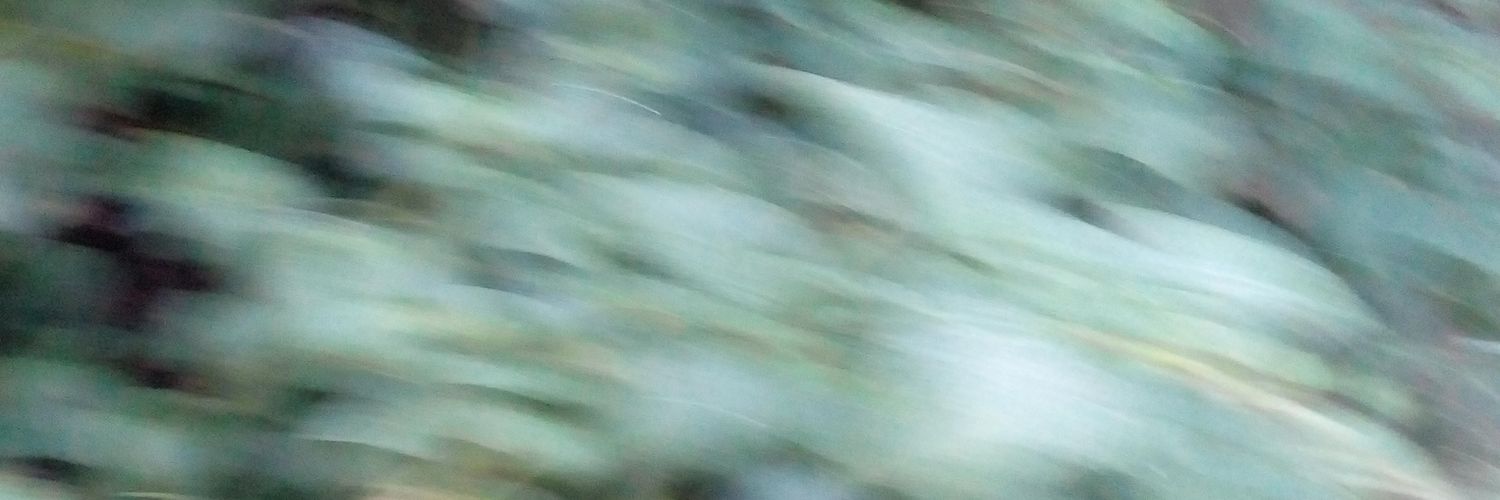 Curutchet_Pablo's profile banner image