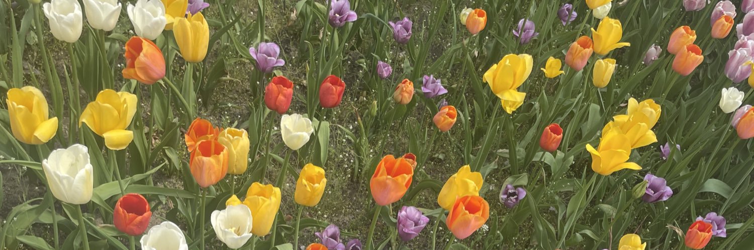 Ina_vande_'s profile banner image