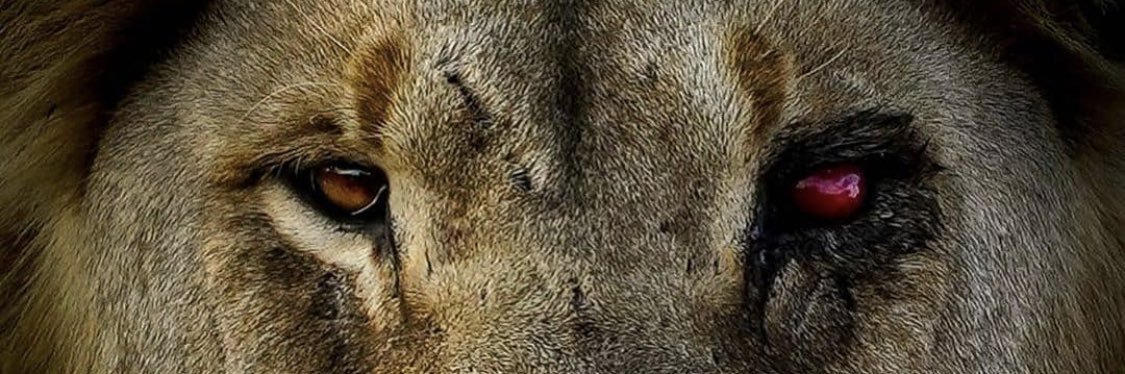 cjmoya45's profile banner image