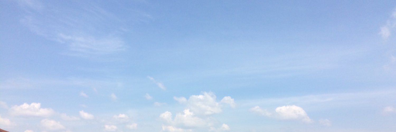 _BearIIX's profile banner image
