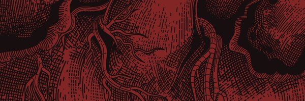 dromambient Profile Banner