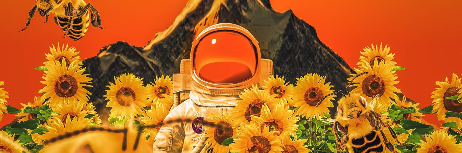 nosise_'s profile banner image