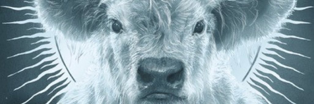GeorgiaByng's profile banner image