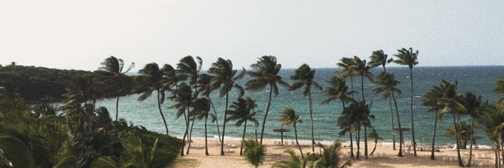 stgojr's profile banner image