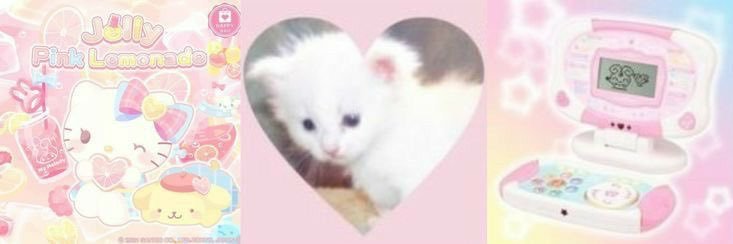 kibble 🐈‍⬛ banner