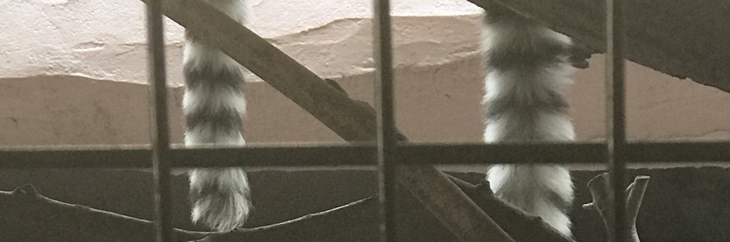 bakamaru93's profile banner image