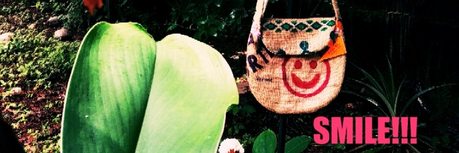 Veronica dSouza banner