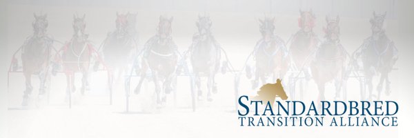 StbTransition Profile Banner