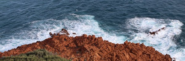 alb_corsini Profile Banner
