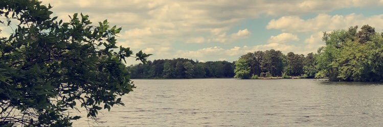 lesbrian33's profile banner image