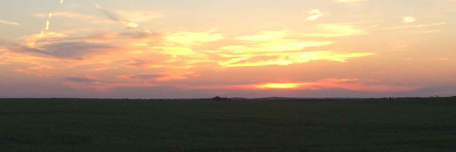 HolsteinLaura's profile banner image