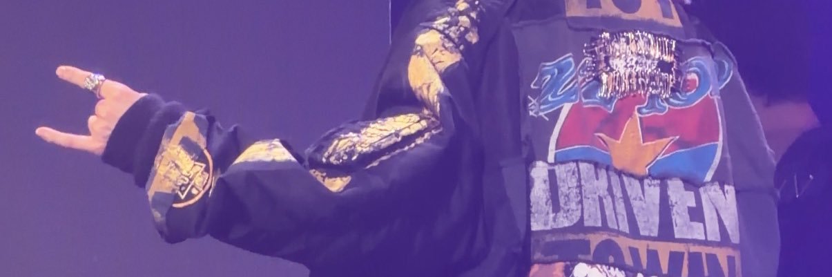猫。 banner