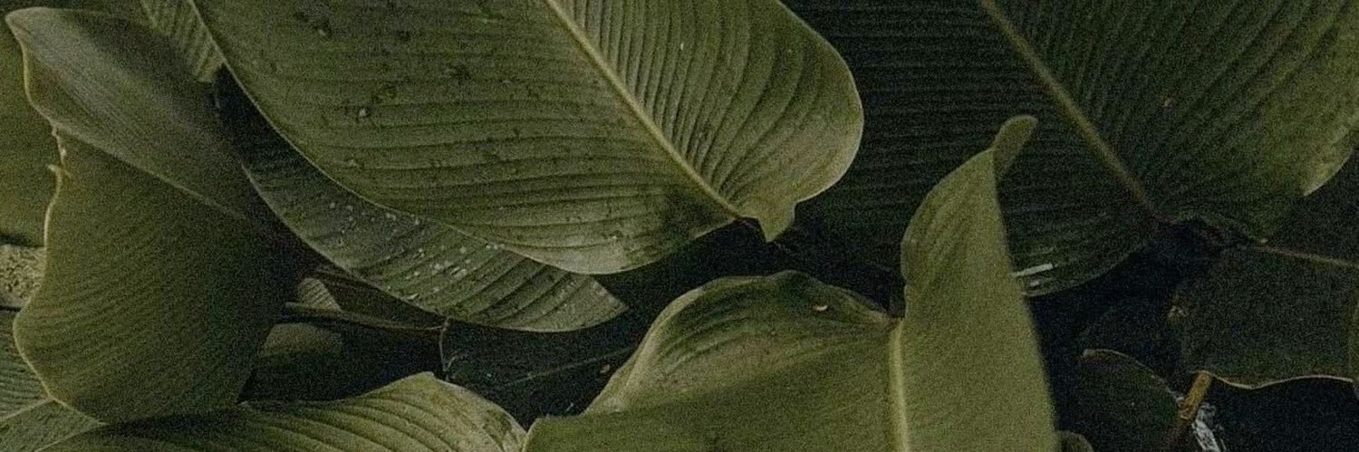 the secretary banner