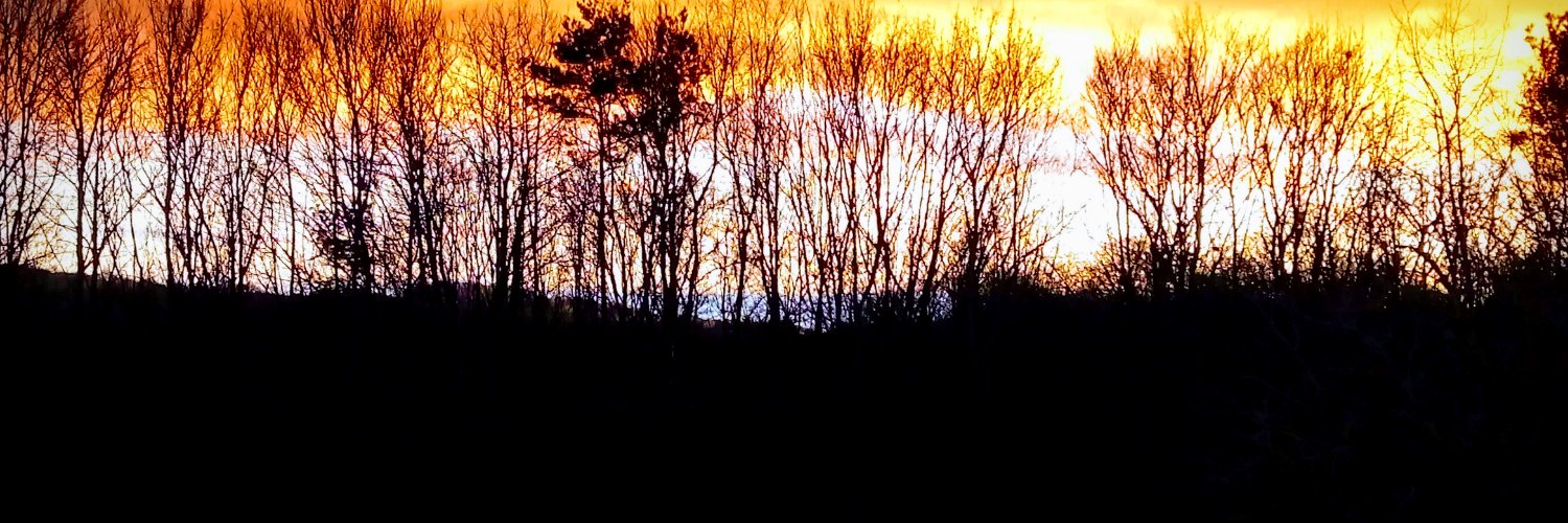 Deborah Watkins banner