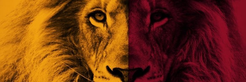 Relentless Leone banner