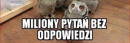 Daniel Klimkiewicz banner