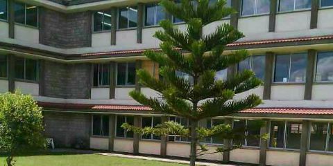 Engcmiu's profile banner image