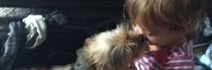 katlyn barfield banner