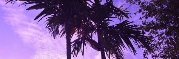 Camipeee's profile banner image