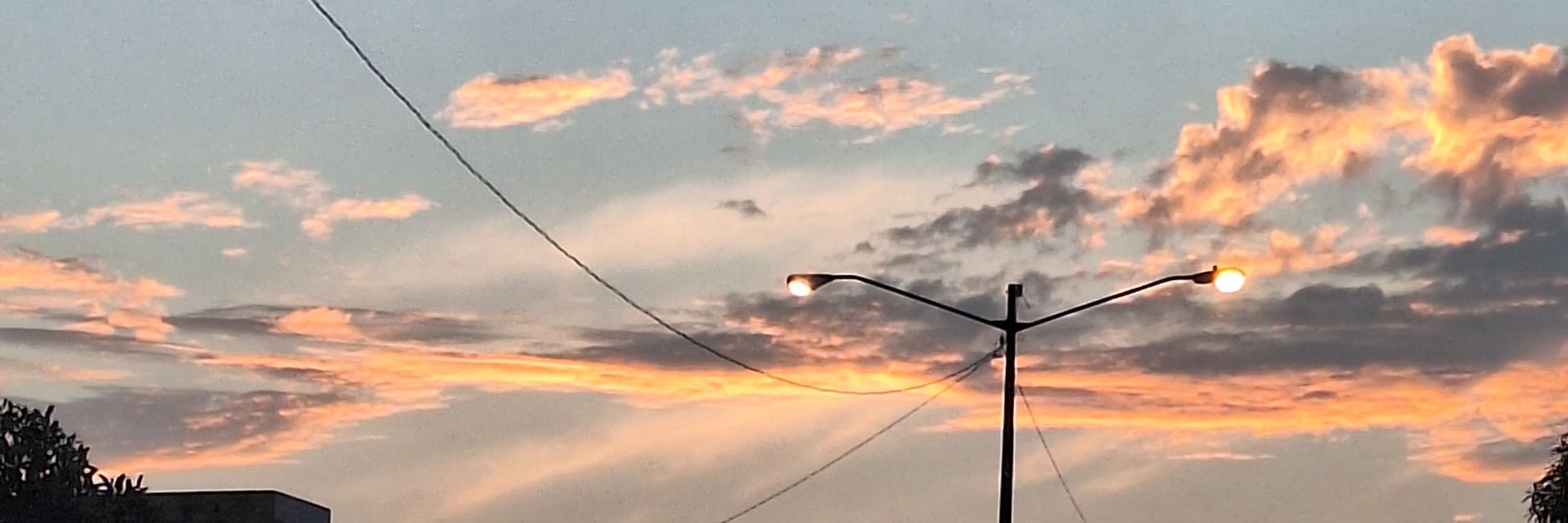 lwtcatluvr's profile banner image