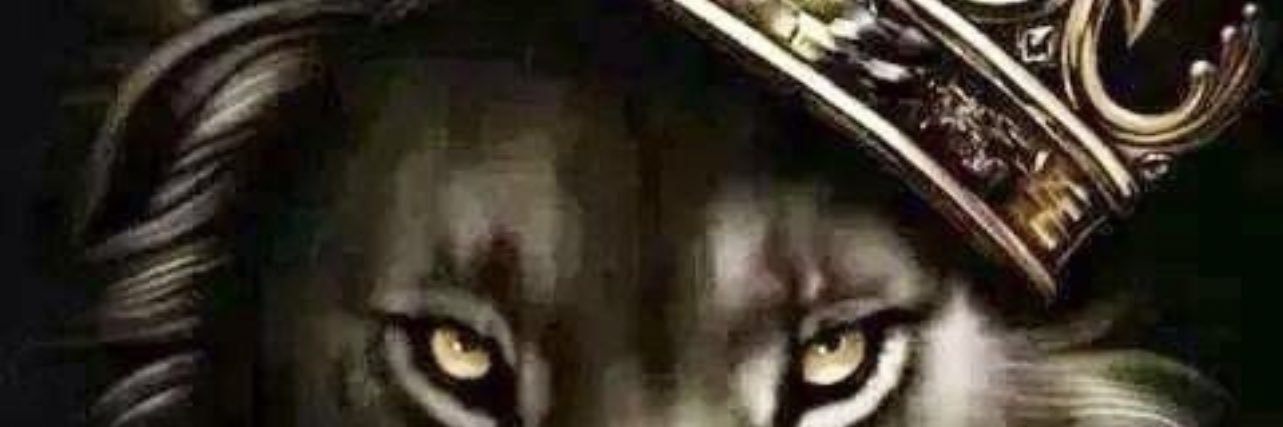 Leoking0812's profile banner image