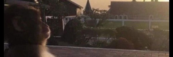 papi09x Profile Banner