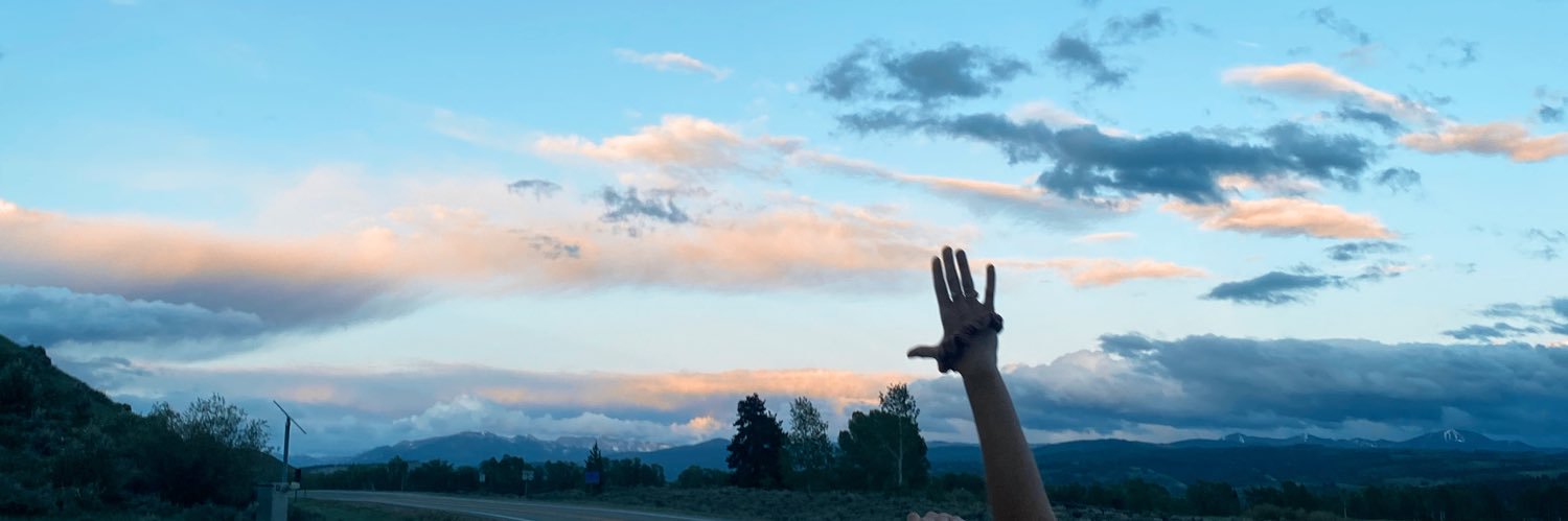 Laelizabeth___'s profile banner image