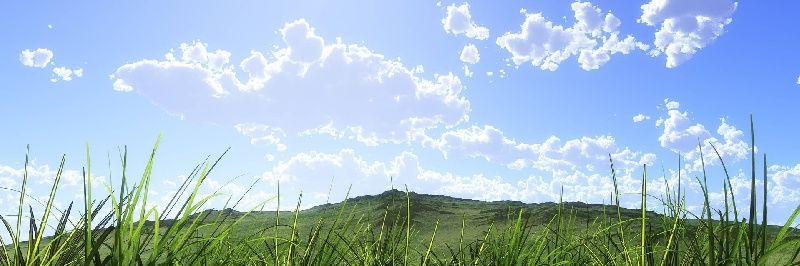 🐦 SmallBird 🐦 banner