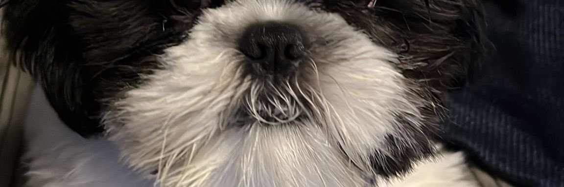ambtec's profile banner image