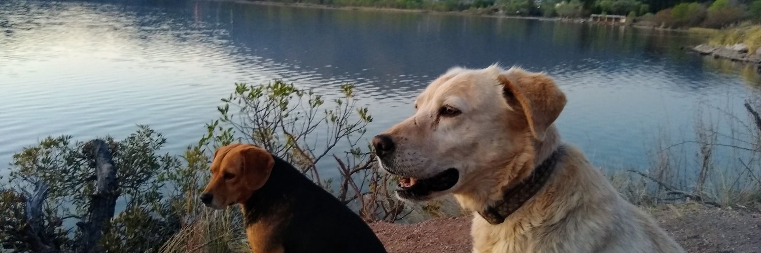 pgalanzi's profile banner image