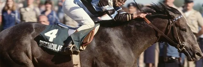 スペちゃん(芦毛のバケモノ) banner