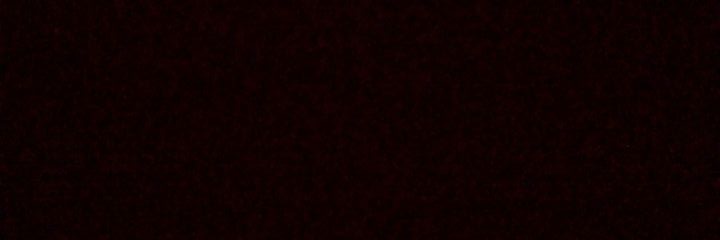 looly00991's profile banner image