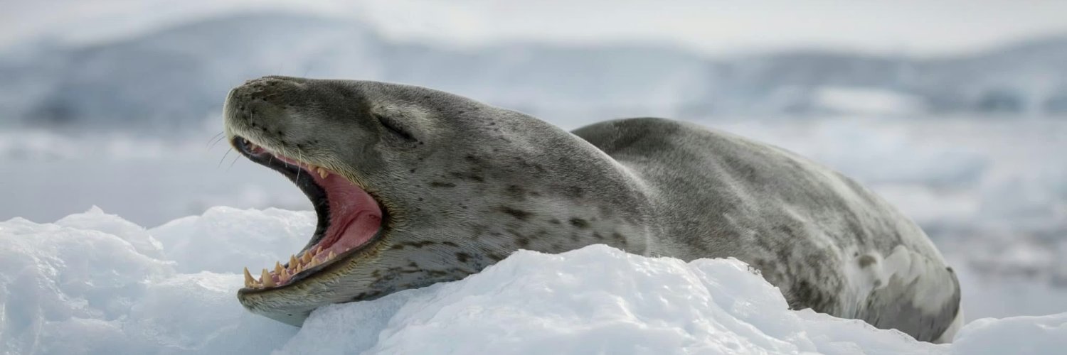 the quasar in question: banner