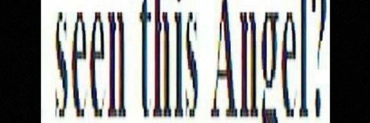 cazapajas banner