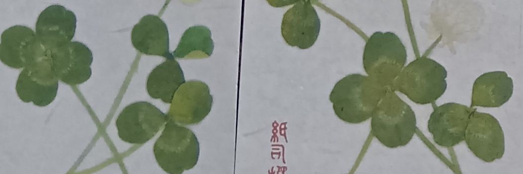 知香(ちか) banner