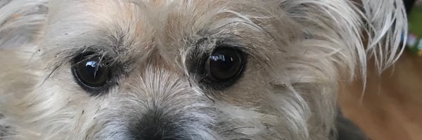 k_simmons511 Profile Banner