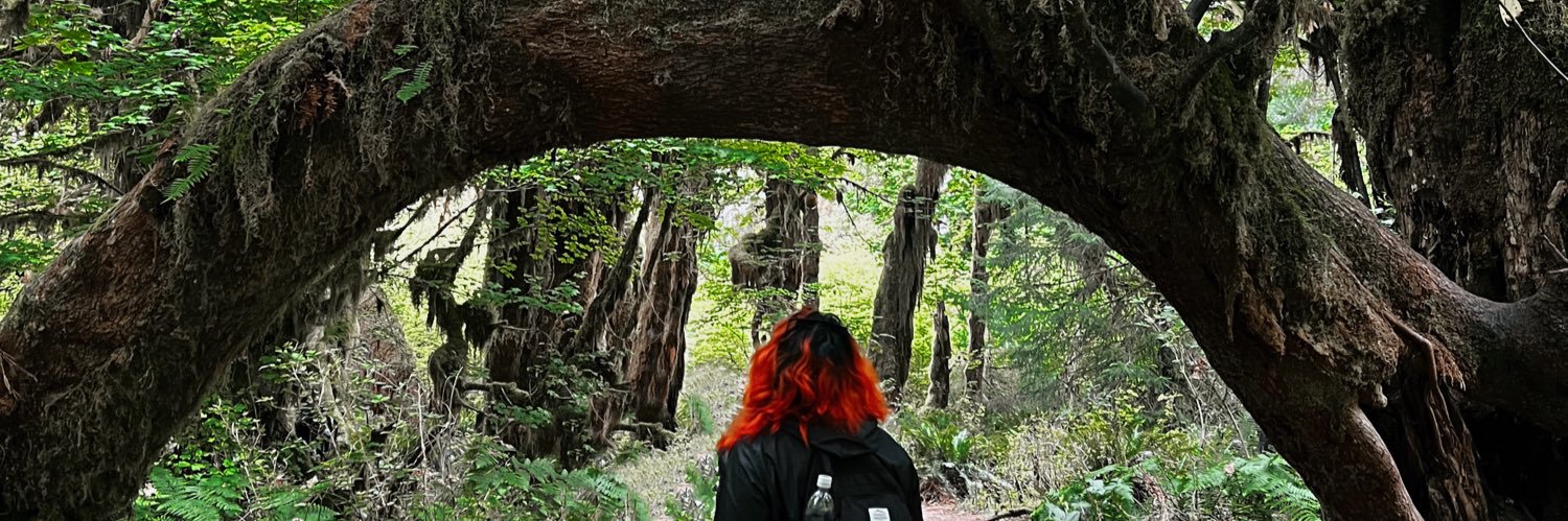 spontaneous_sie's profile banner image