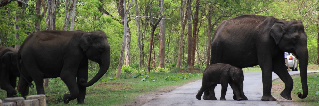 ಪ್ರಯಾಣ banner