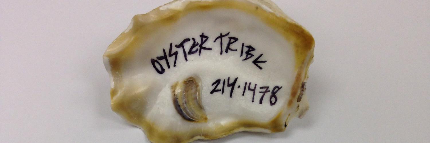 OysterTribe's profile banner image