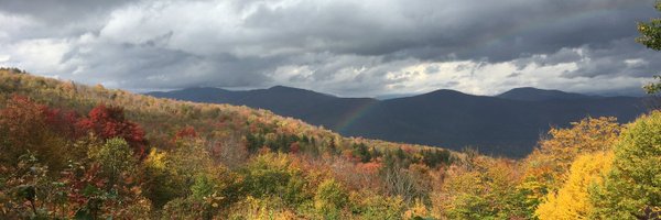 PreethaNandiMD Profile Banner