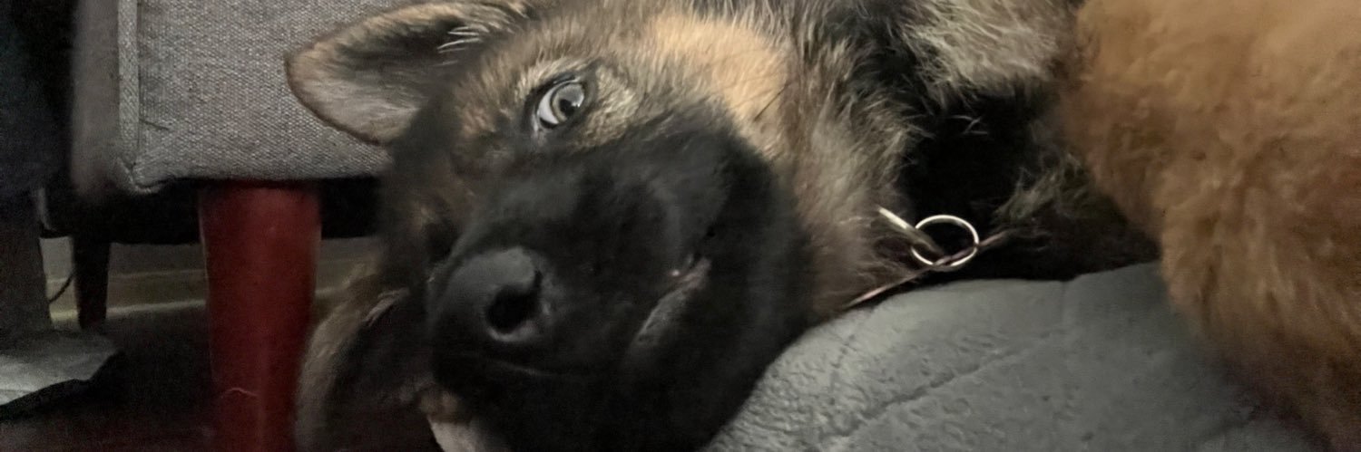 slowwrex's profile banner image